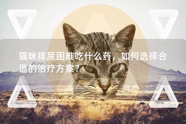 猫咪排尿困难吃什么药，如何选择合适的治疗方案？