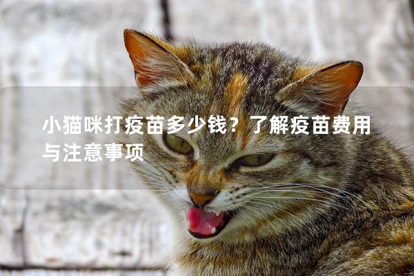 小猫咪打疫苗多少钱？了解疫苗费用与注意事项