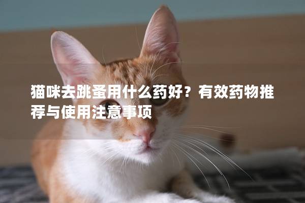 猫咪去跳蚤用什么药好？有效药物推荐与使用注意事项