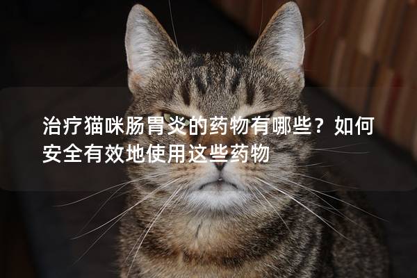 治疗猫咪肠胃炎的药物有哪些？如何安全有效地使用这些药物