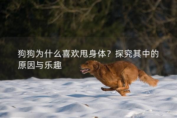 狗狗为什么喜欢甩身体？探究其中的原因与乐趣