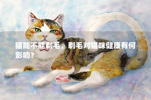 猫能不能剃毛，剃毛对猫咪健康有何影响？