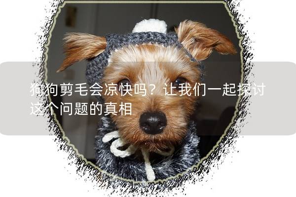 狗狗剪毛会凉快吗？让我们一起探讨这个问题的真相