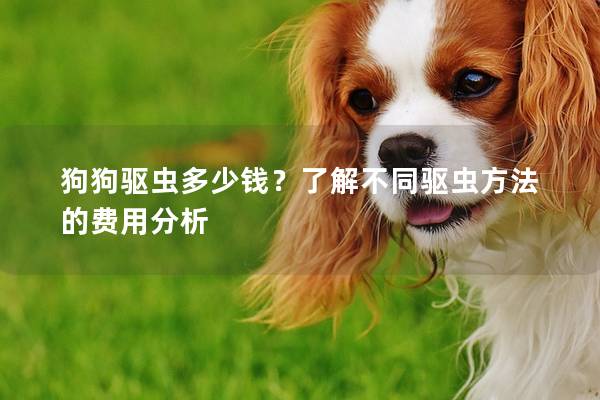 狗狗驱虫多少钱？了解不同驱虫方法的费用分析