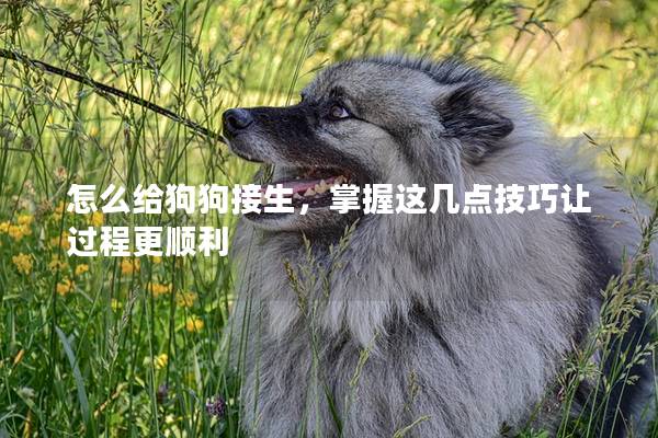 怎么给狗狗接生，掌握这几点技巧让过程更顺利