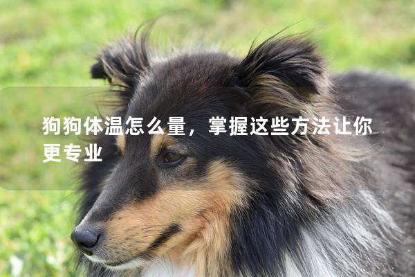 狗狗体温怎么量，掌握这些方法让你更专业