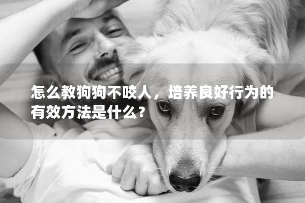 怎么教狗狗不咬人，培养良好行为的有效方法是什么？