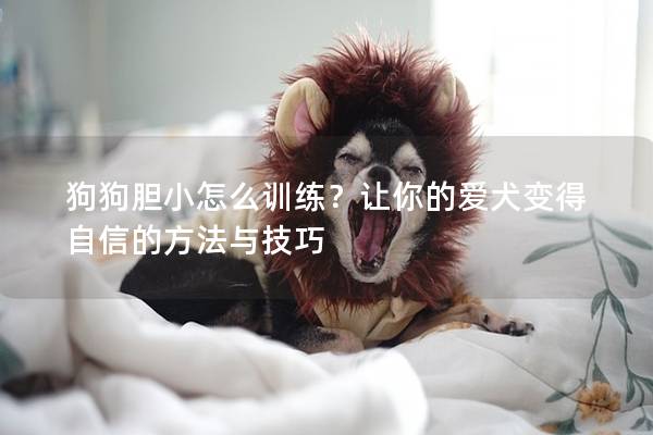 狗狗胆小怎么训练？让你的爱犬变得自信的方法与技巧