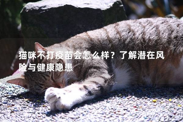 猫咪不打疫苗会怎么样？了解潜在风险与健康隐患