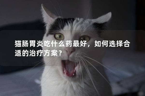 猫肠胃炎吃什么药最好，如何选择合适的治疗方案？