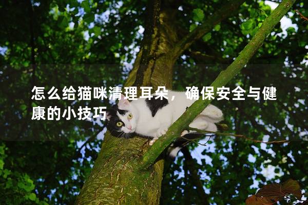 怎么给猫咪清理耳朵，确保安全与健康的小技巧