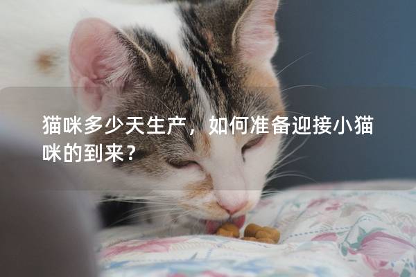 猫咪多少天生产，如何准备迎接小猫咪的到来？