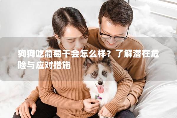 狗狗吃葡萄干会怎么样？了解潜在危险与应对措施