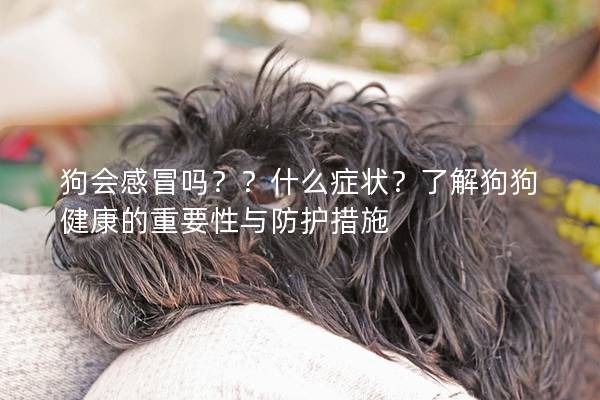 狗会感冒吗？？什么症状？了解狗狗健康的重要性与防护措施