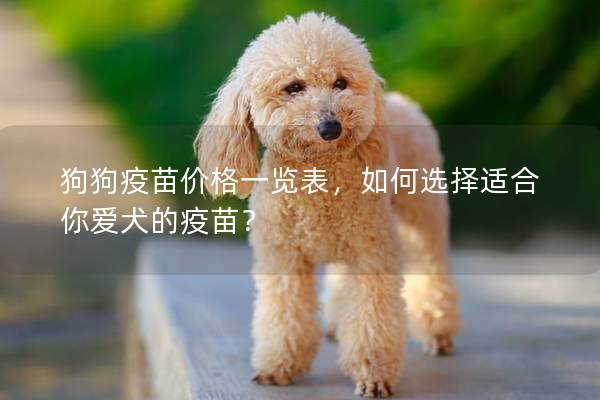 狗狗疫苗价格一览表，如何选择适合你爱犬的疫苗？