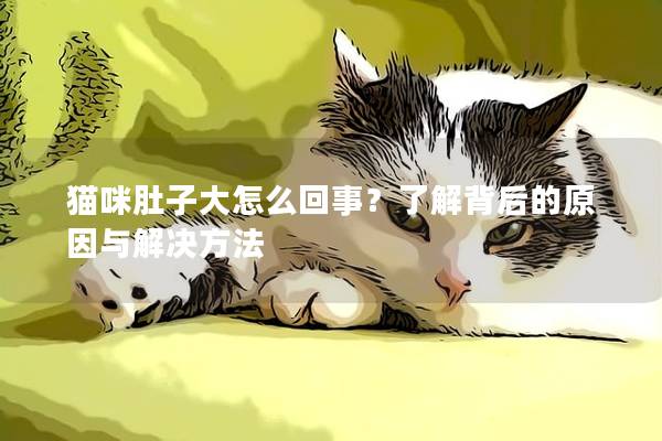 猫咪肚子大怎么回事？了解背后的原因与解决方法