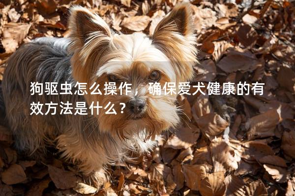 狗驱虫怎么操作，确保爱犬健康的有效方法是什么？