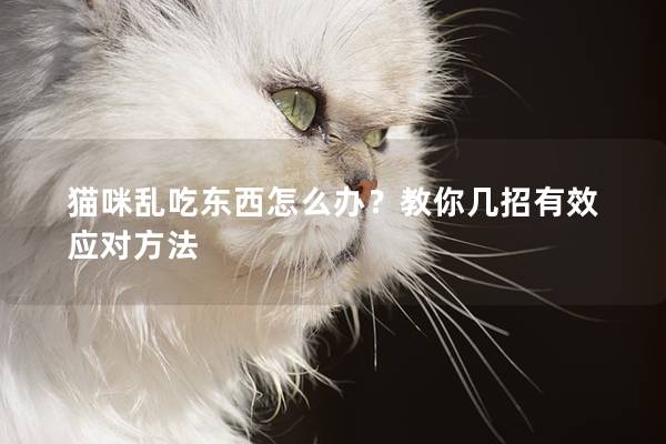 猫咪乱吃东西怎么办？教你几招有效应对方法