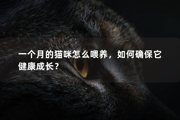 一个月的猫咪怎么喂养，如何确保它健康成长？