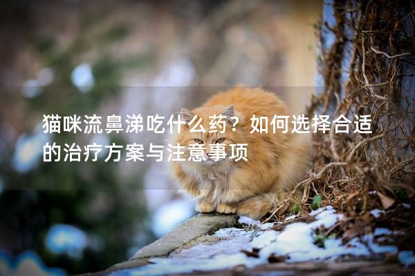 猫咪流鼻涕吃什么药？如何选择合适的治疗方案与注意事项