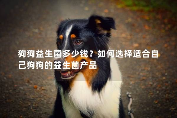 狗狗益生菌多少钱？如何选择适合自己狗狗的益生菌产品