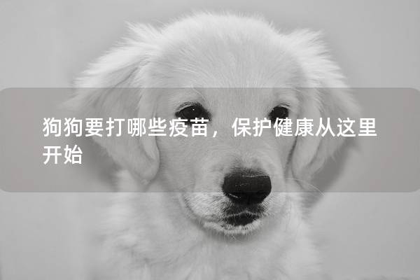 狗狗要打哪些疫苗，保护健康从这里开始