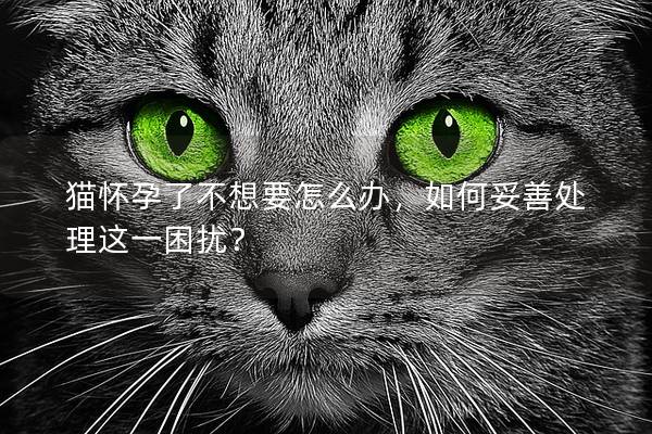 猫怀孕了不想要怎么办，如何妥善处理这一困扰？