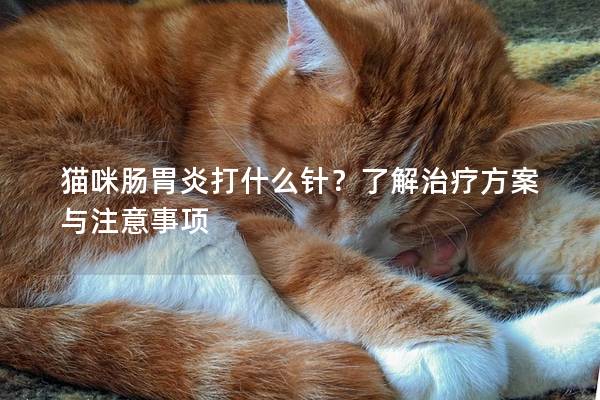 猫咪肠胃炎打什么针？了解治疗方案与注意事项