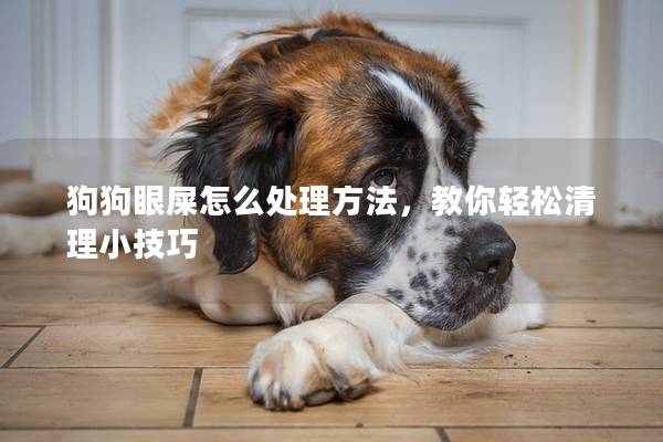 狗狗眼屎怎么处理方法，教你轻松清理小技巧