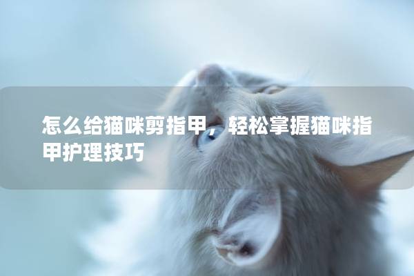 怎么给猫咪剪指甲，轻松掌握猫咪指甲护理技巧