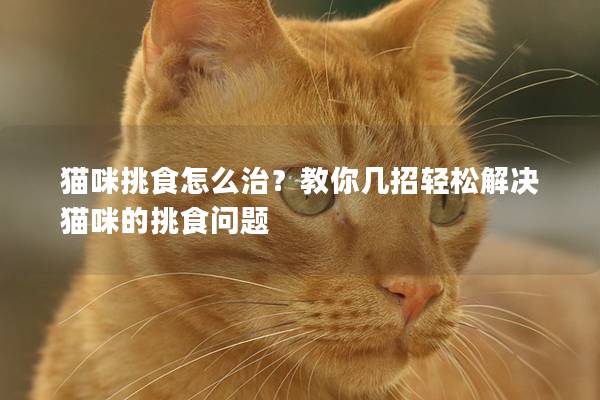 猫咪挑食怎么治？教你几招轻松解决猫咪的挑食问题