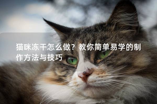 猫咪冻干怎么做？教你简单易学的制作方法与技巧