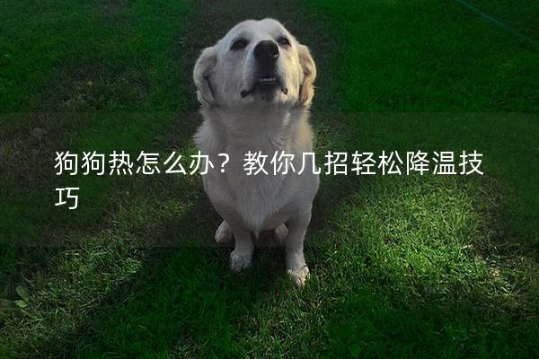 狗狗热怎么办？教你几招轻松降温技巧