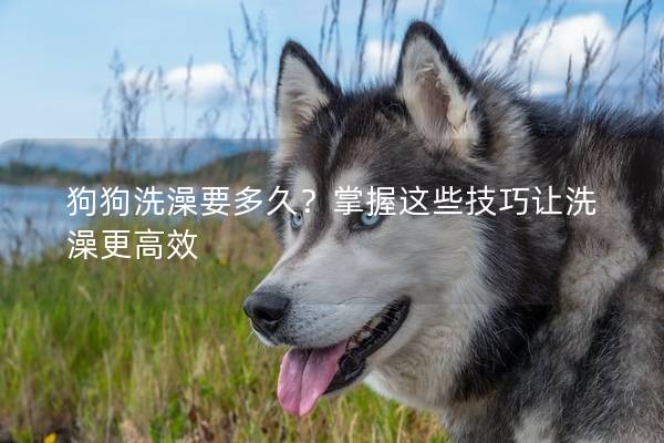 狗狗洗澡要多久？掌握这些技巧让洗澡更高效