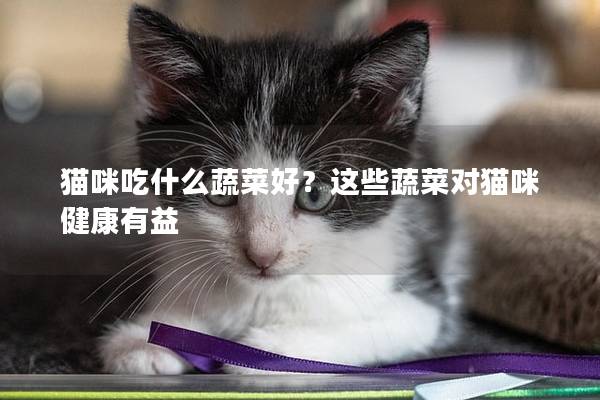 猫咪吃什么蔬菜好？这些蔬菜对猫咪健康有益