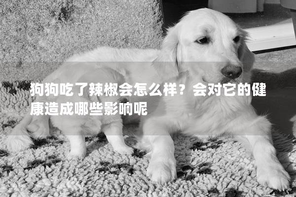 狗狗吃了辣椒会怎么样？会对它的健康造成哪些影响呢