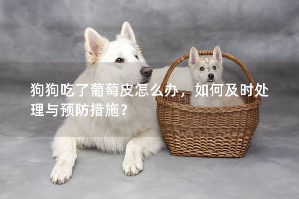 狗狗吃了葡萄皮怎么办，如何及时处理与预防措施？