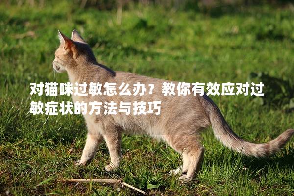 对猫咪过敏怎么办？教你有效应对过敏症状的方法与技巧