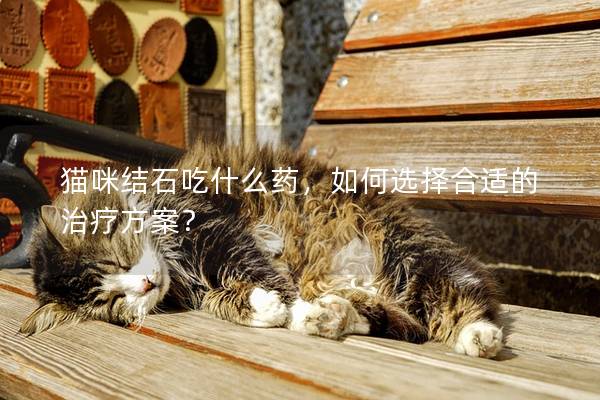 猫咪结石吃什么药，如何选择合适的治疗方案？