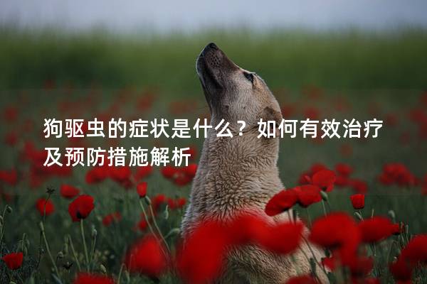 狗驱虫的症状是什么？如何有效治疗及预防措施解析