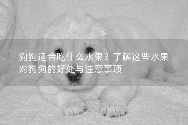 狗狗适合吃什么水果？了解这些水果对狗狗的好处与注意事项