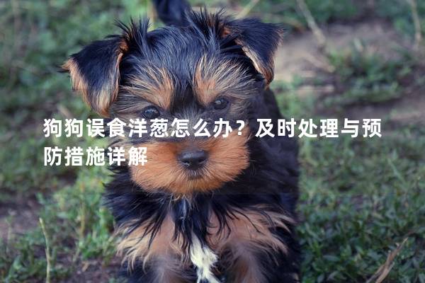 狗狗误食洋葱怎么办？及时处理与预防措施详解