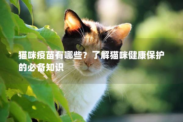 猫咪疫苗有哪些？了解猫咪健康保护的必备知识