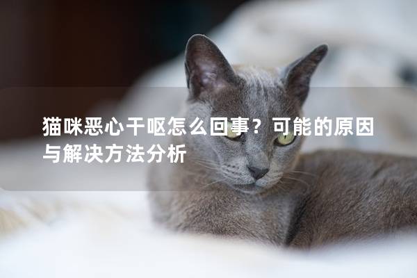 猫咪恶心干呕怎么回事？可能的原因与解决方法分析