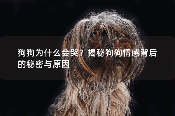 狗狗为什么会哭？揭秘狗狗情感背后的秘密与原因