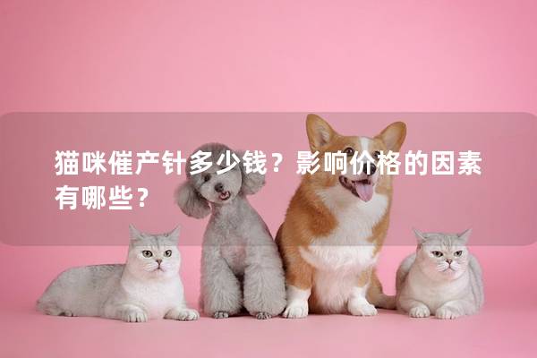 猫咪催产针多少钱？影响价格的因素有哪些？