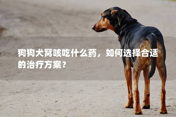 狗狗犬窝咳吃什么药，如何选择合适的治疗方案？