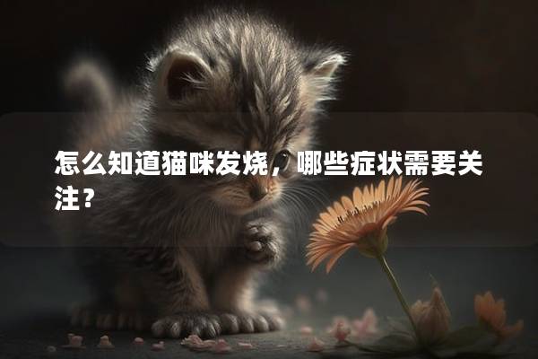 怎么知道猫咪发烧，哪些症状需要关注？