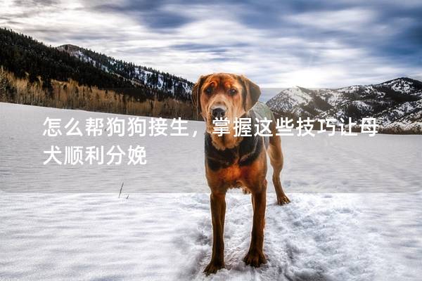 怎么帮狗狗接生，掌握这些技巧让母犬顺利分娩