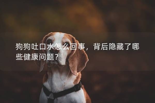 狗狗吐口水怎么回事，背后隐藏了哪些健康问题？